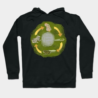 Pacific Tree Frog Life Cycle Hoodie